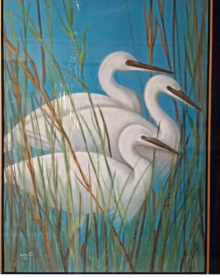 WhatsApp Image 2025-12-18 at 13.27.18