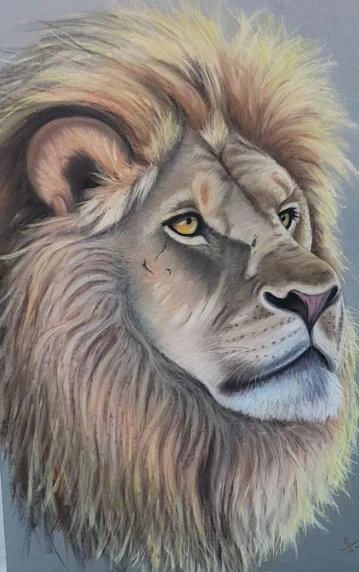 نیمرخ سلطان